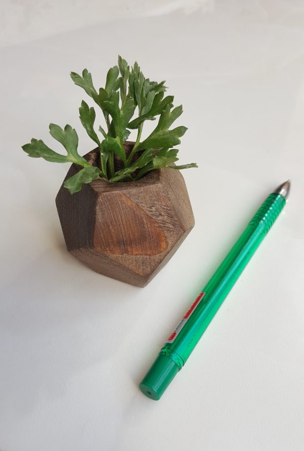 ۲۰۲۱۰۲۱۹_۱۰۴۳۲۸